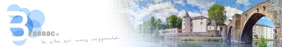 Conseil Municipal Brassac
