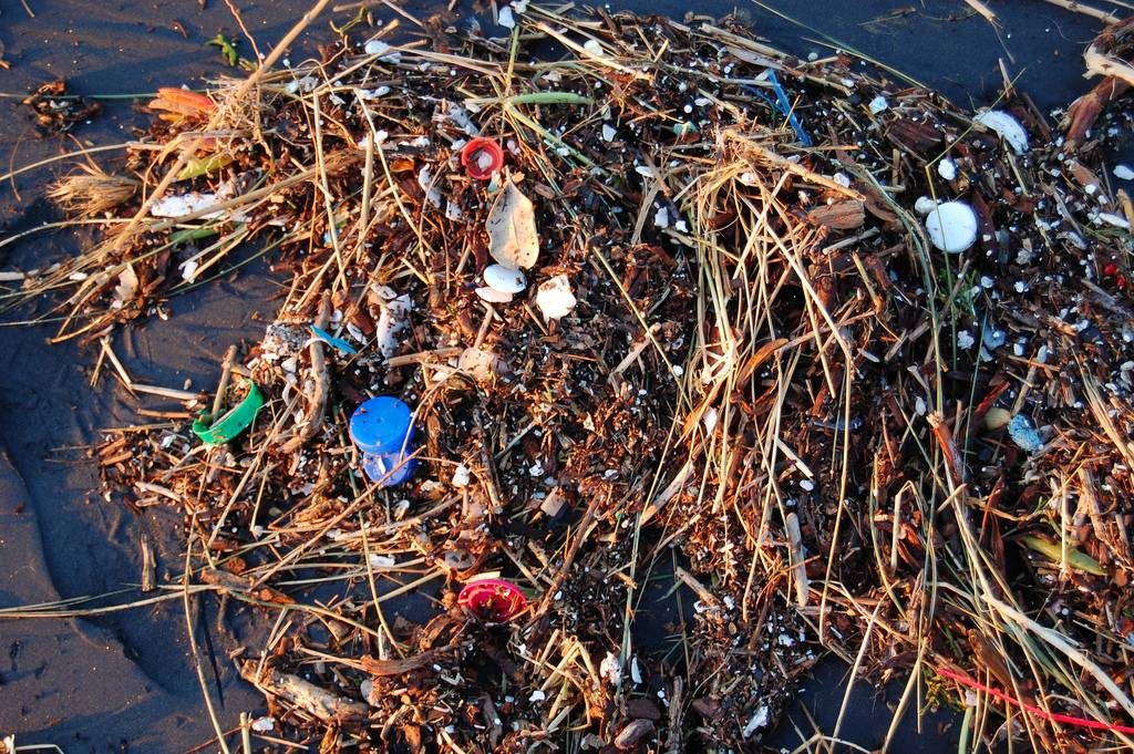 pollution-marine-recyclage-pollution-biodiversité2