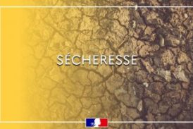 Sécheresse – Déclaration des dommages