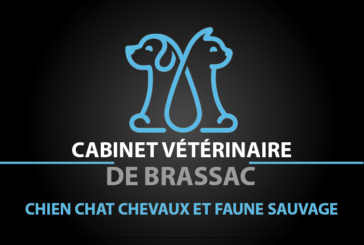 Ouverture du cabinet vétérinaire de Brassac
