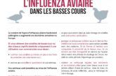 Influenza aviaire : risque élevé