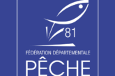 Écrevisses à pattes blanches : prospections nocturnes en cours