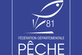 Écrevisses à pattes blanches : prospections nocturnes en cours