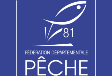 Écrevisses à pattes blanches : prospections nocturnes en cours