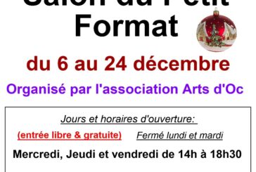 Salon du Petit Format