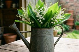 Règlementation concernant la vente du muguet le 1er mai