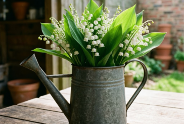 Règlementation concernant la vente du muguet le 1er mai