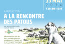 À la rencontre des patous