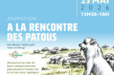 À la rencontre des patous
