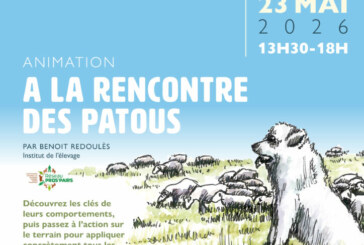 À la rencontre des patous