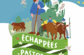 Échappées pastorales dans le Parc du Haut-Languedoc