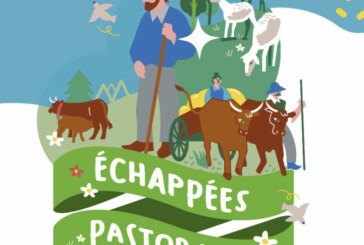 Échappées pastorales dans le Parc du Haut-Languedoc