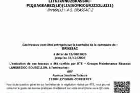 Travaux d’entretien de la végétation
