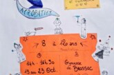 Stage de cirque
