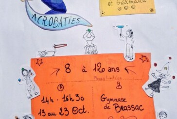 Stage de cirque