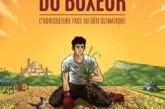 Ciné-débat « La Théorie du Boxeur »