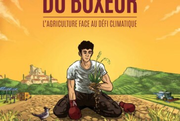 Ciné-débat « La Théorie du Boxeur »